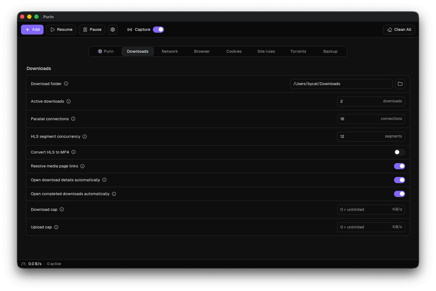 Purin download settings with connection and HLS limits