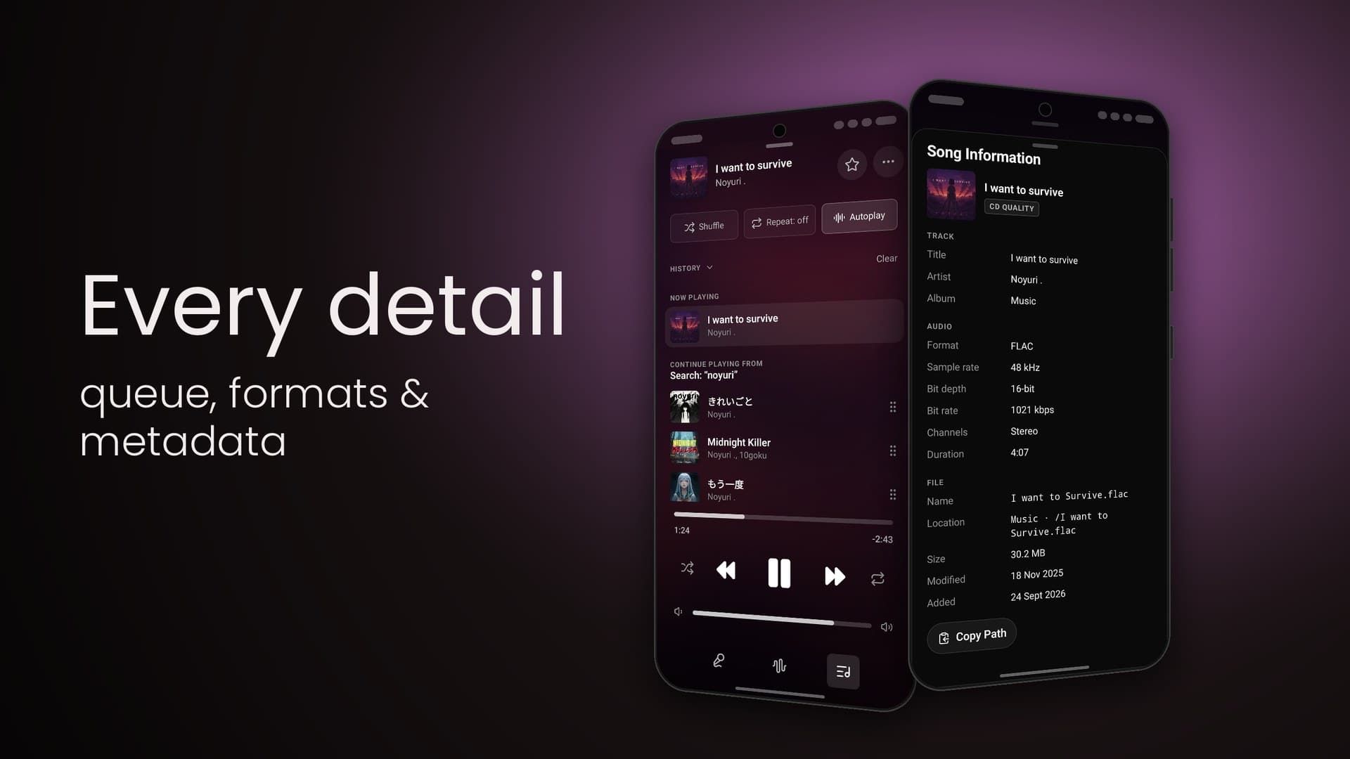 Google Play slide: Every detail — queue, formats & metadata, beside the queue and the Song Information sheet