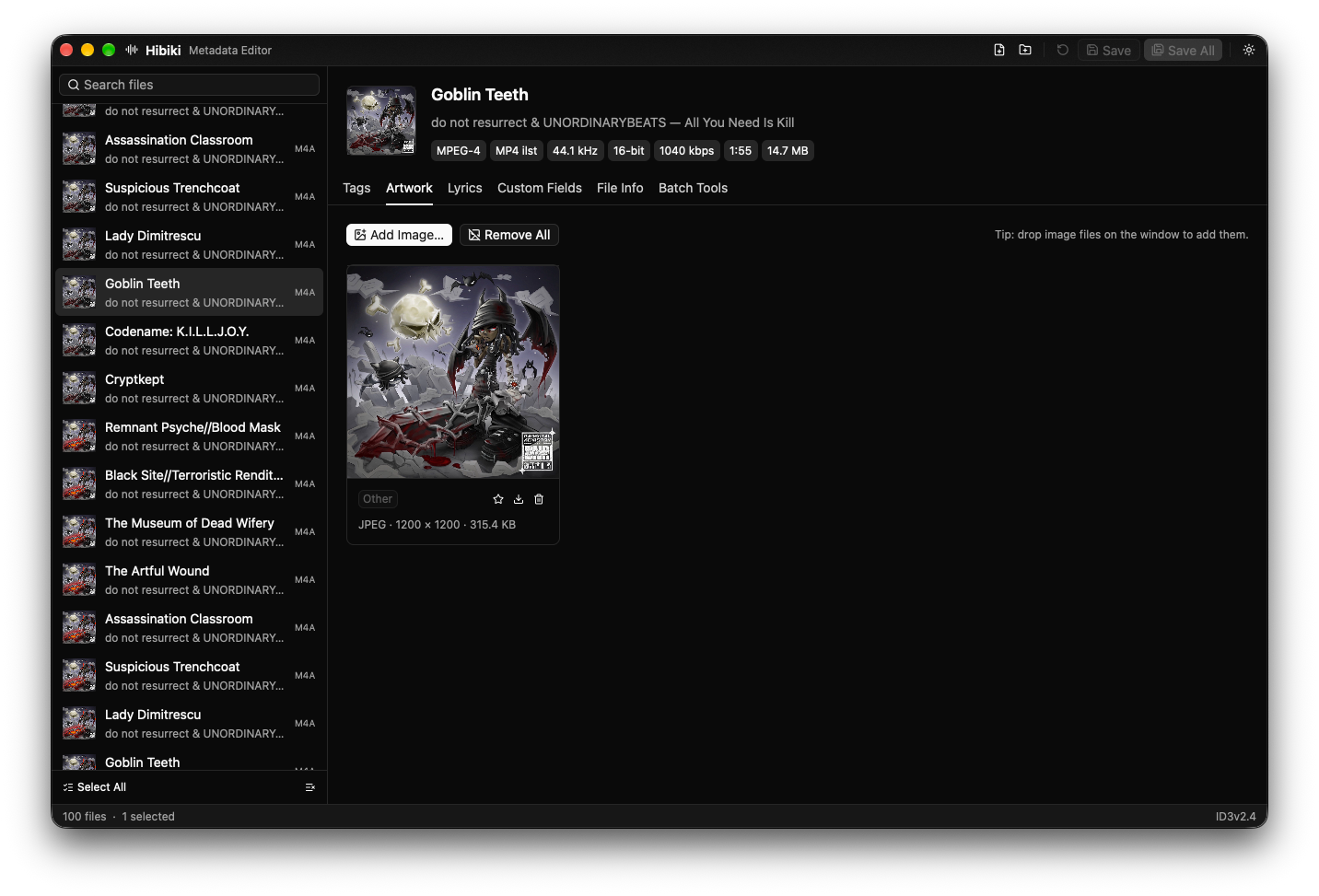 Hibiki's Artwork tab showing an embedded 1200 × 1200 JPEG cover with Add Image and Remove All buttons