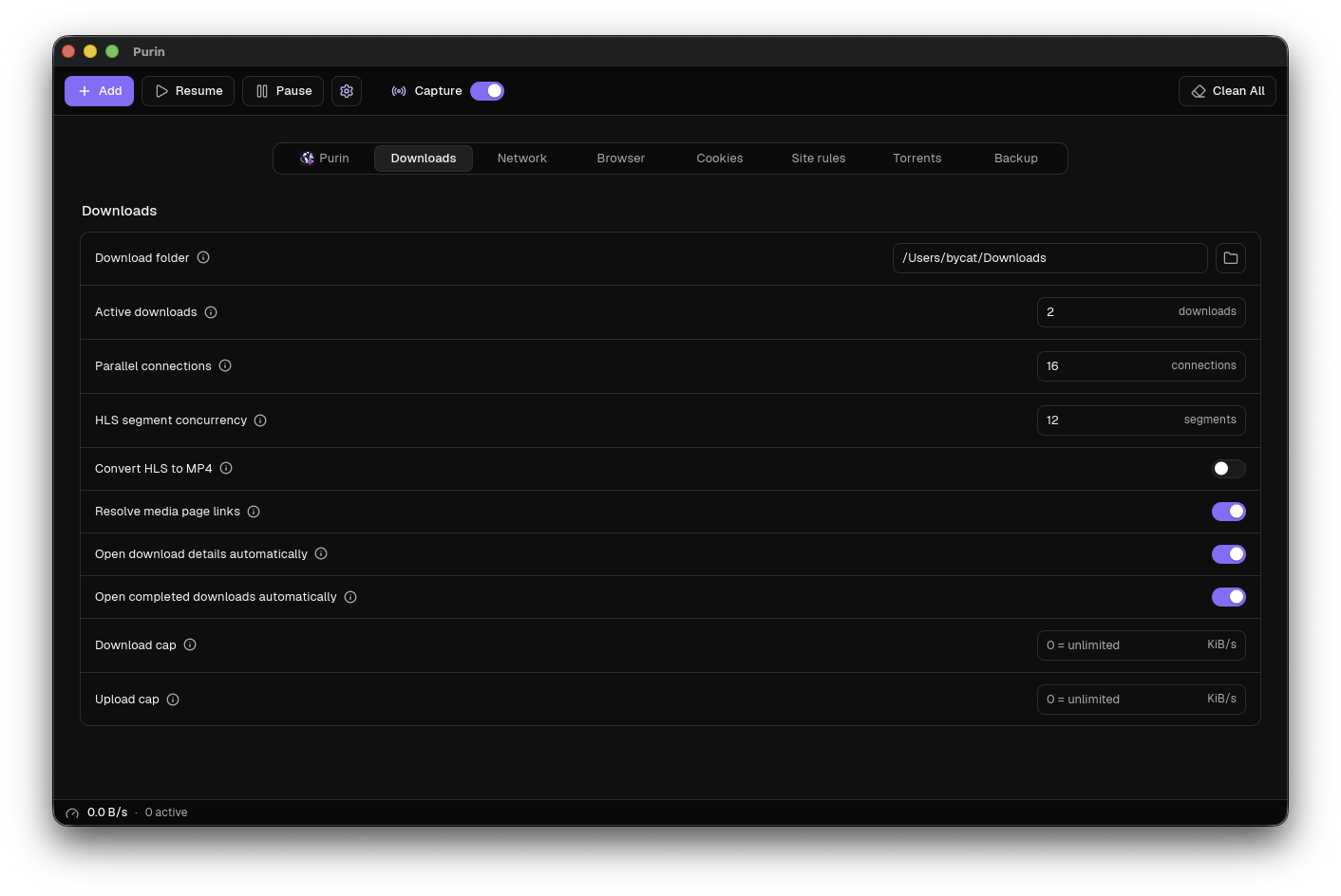 Purin download settings with connection and HLS limits