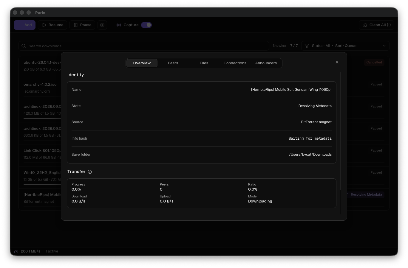 Purin torrent overview with identity and transfer details