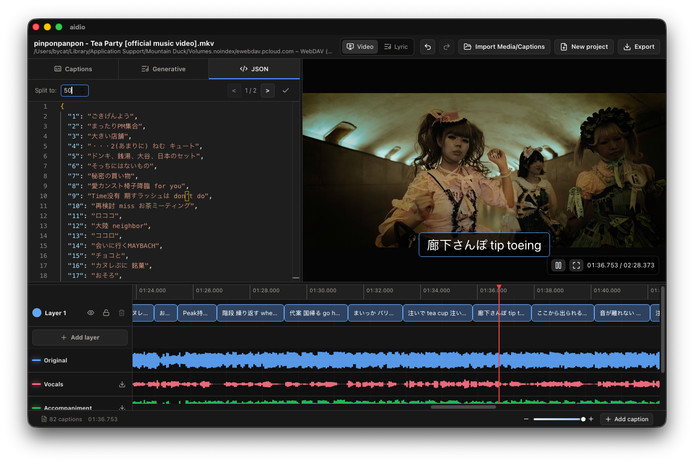 Aidio JSON view of structured caption data.