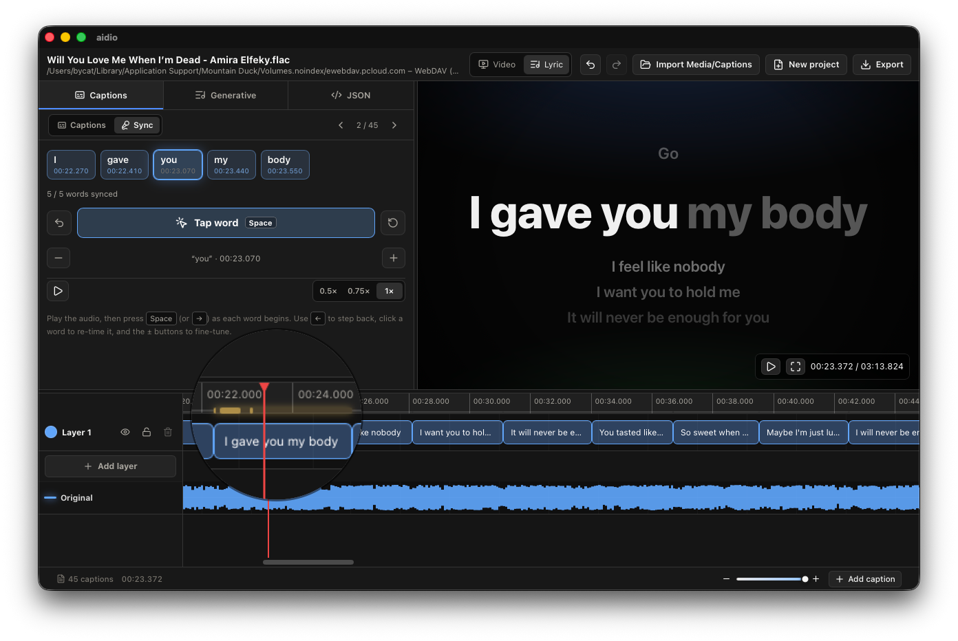 Aidio detailed word-level karaoke timing view.
